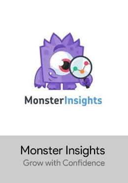 Monster insight for escorts website