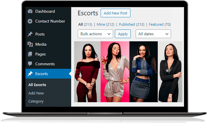 Escorts Website Design Features