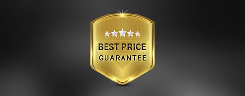 Escorts Website Design at Best Price